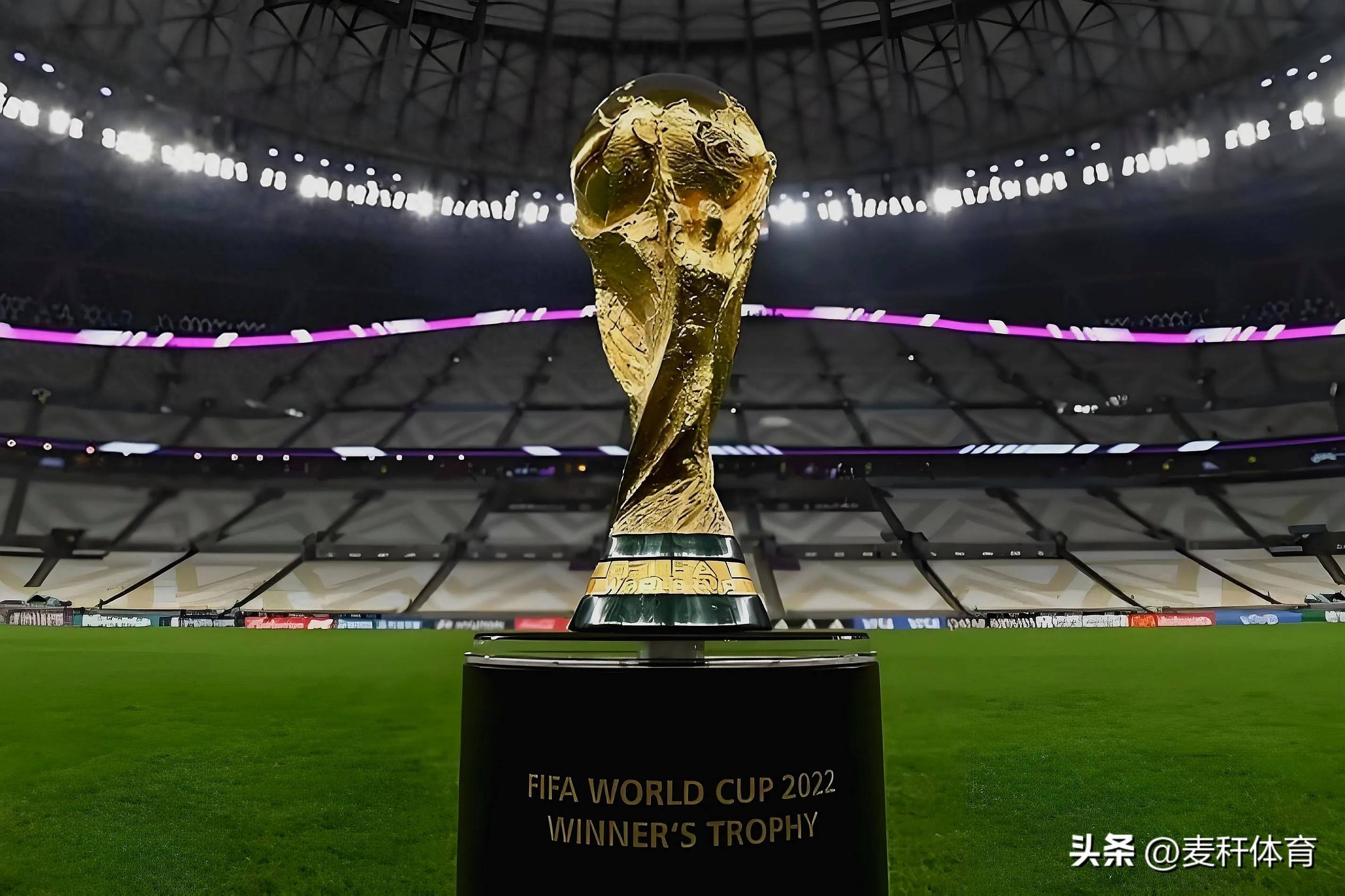 的放大器 的放大器