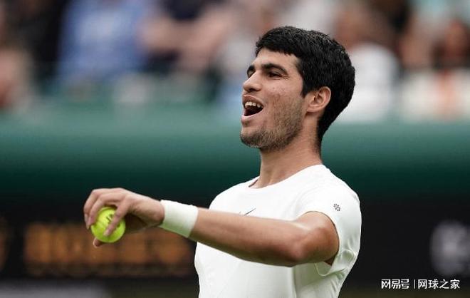 外线突分的 外线突分的